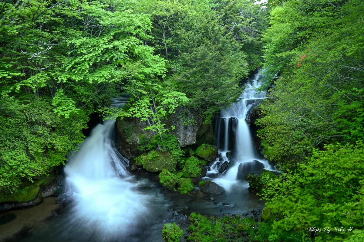 投稿写真：竜頭の滝