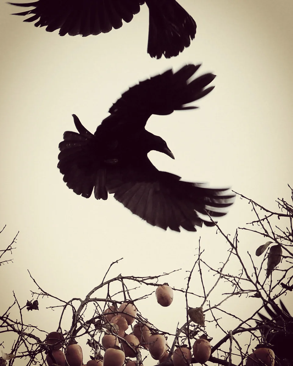 投稿写真：毘沙門堂