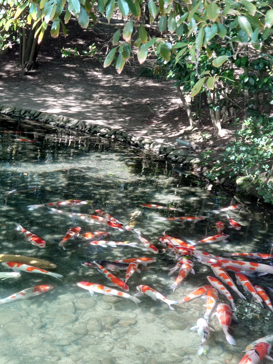 投稿写真：栗林公園