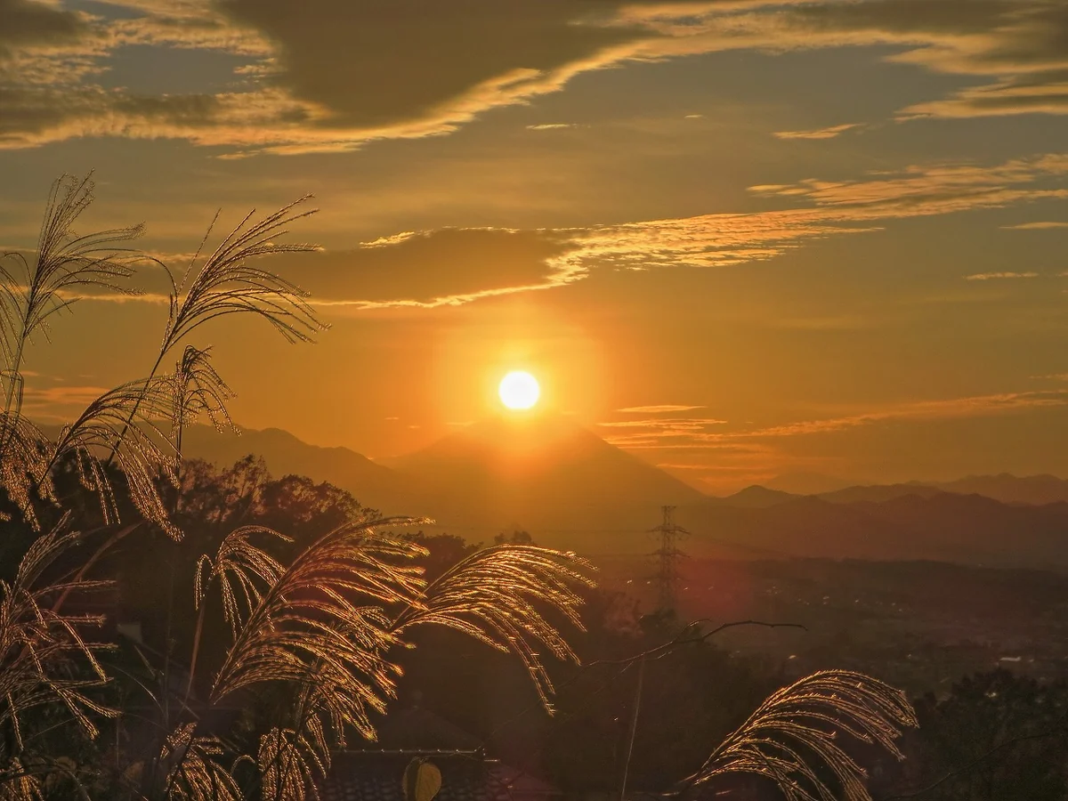 投稿写真：ススキダイヤモンド富士の始まり