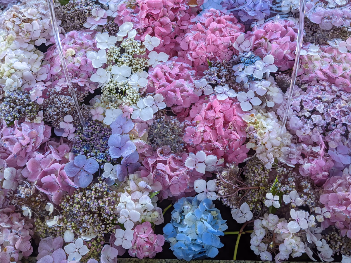 投稿写真：花手水　6/30