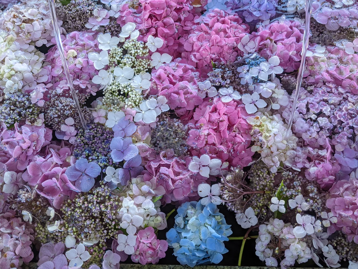 投稿写真：花手水　6/30