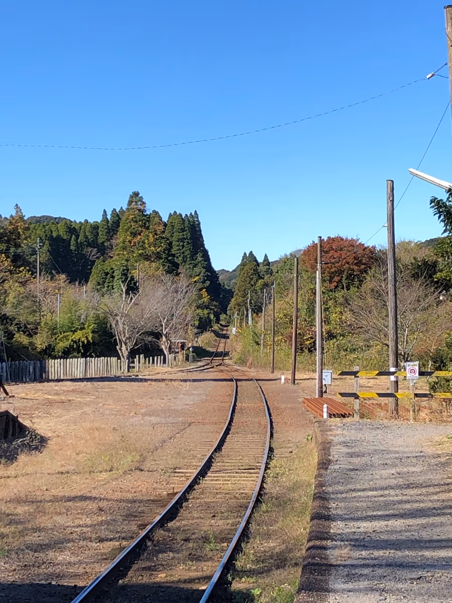 投稿写真：秋のいすみ鉄道