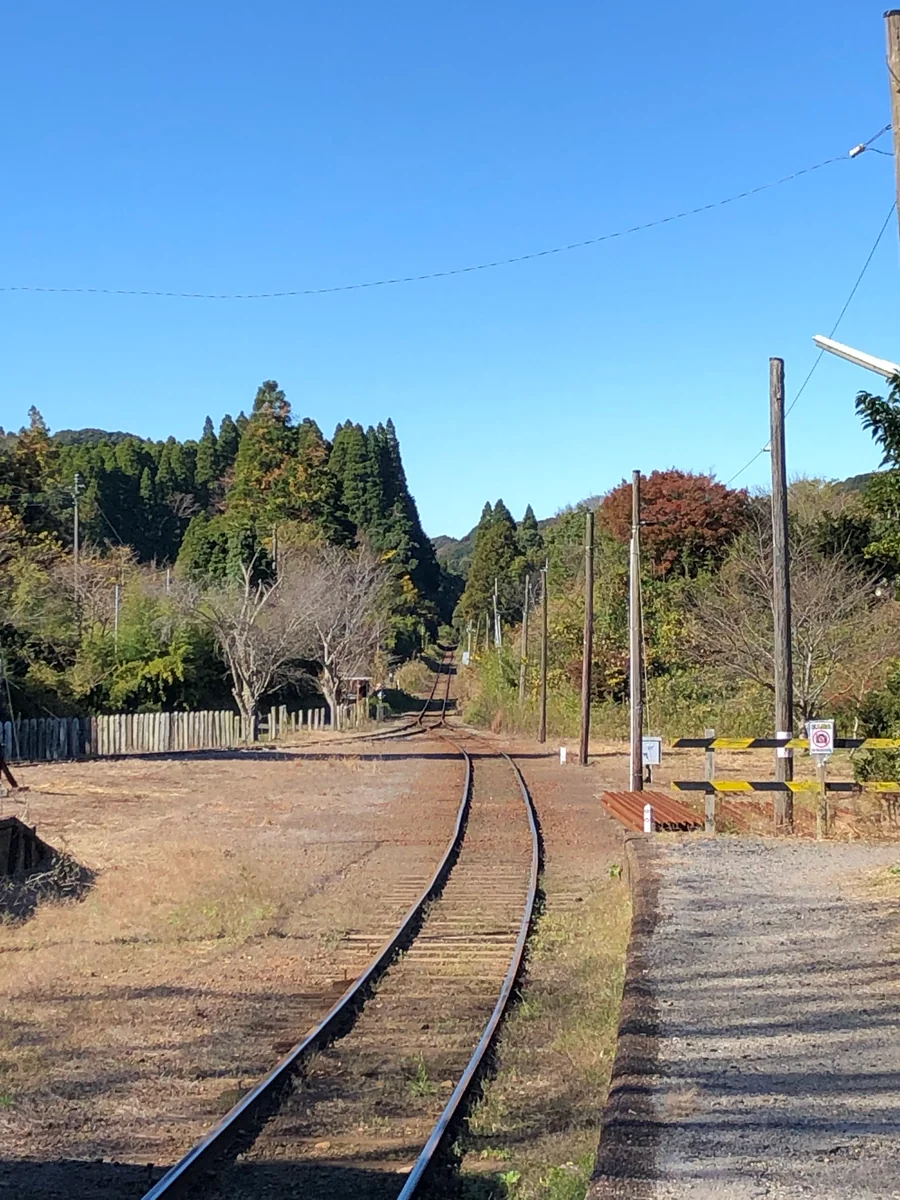投稿写真：秋のいすみ鉄道