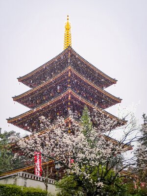  | 絶景事典