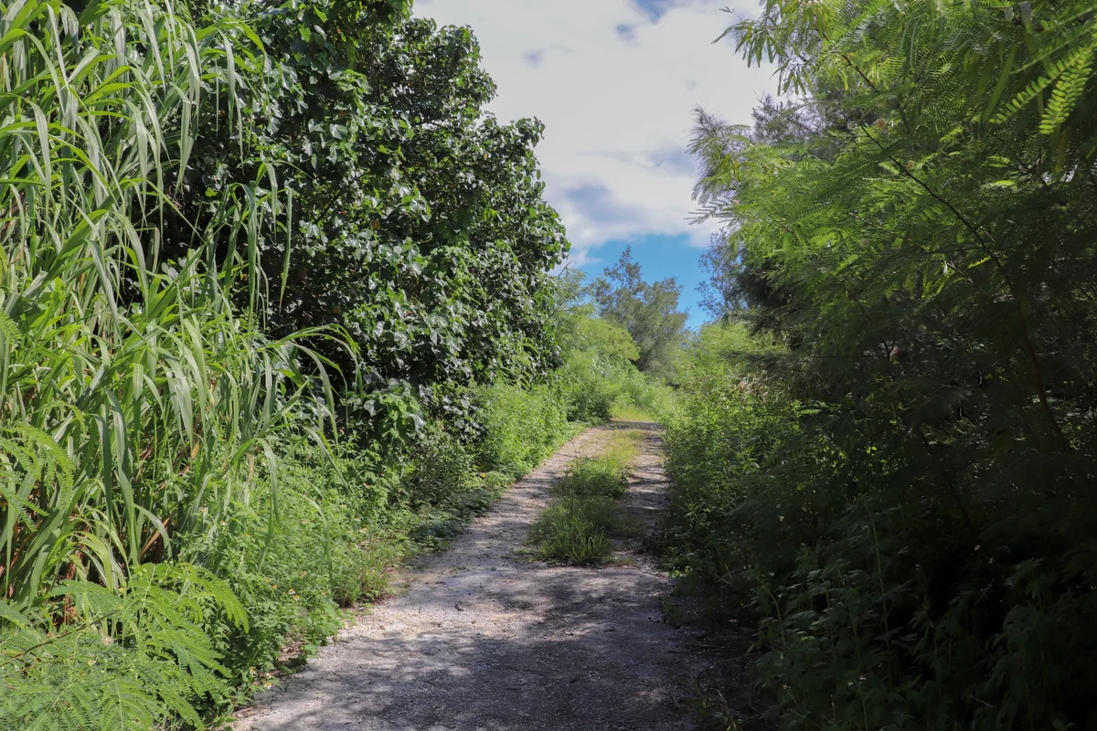 投稿写真：この先には…