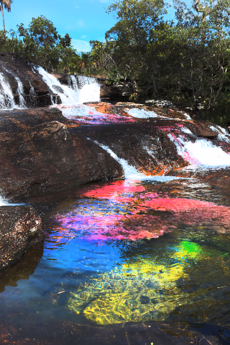 投稿写真：Caño Cristales