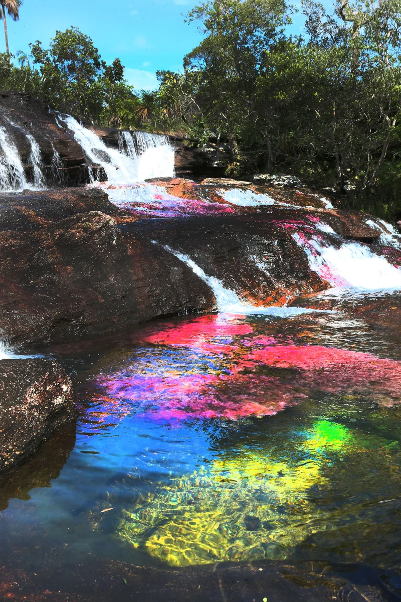 投稿写真：Caño Cristales