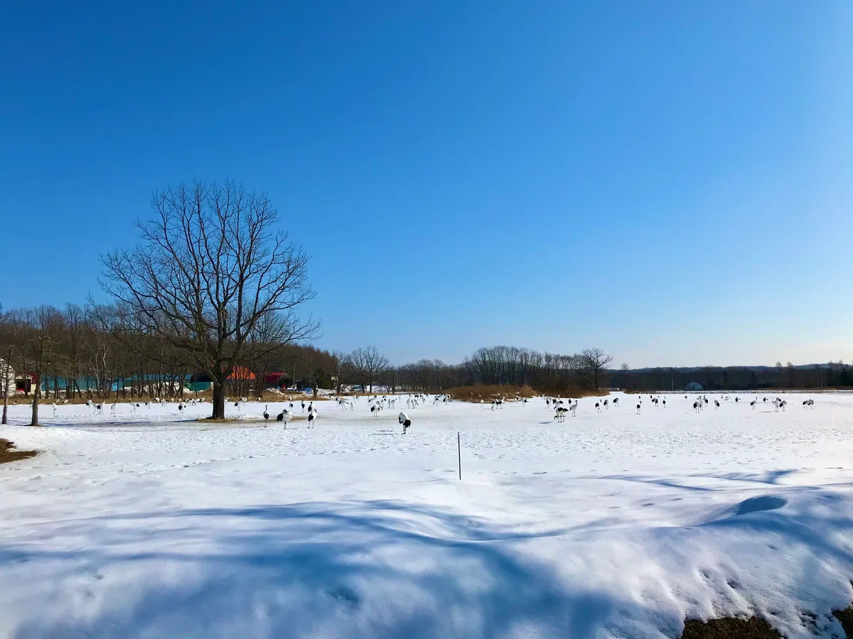 投稿写真：鶴見台