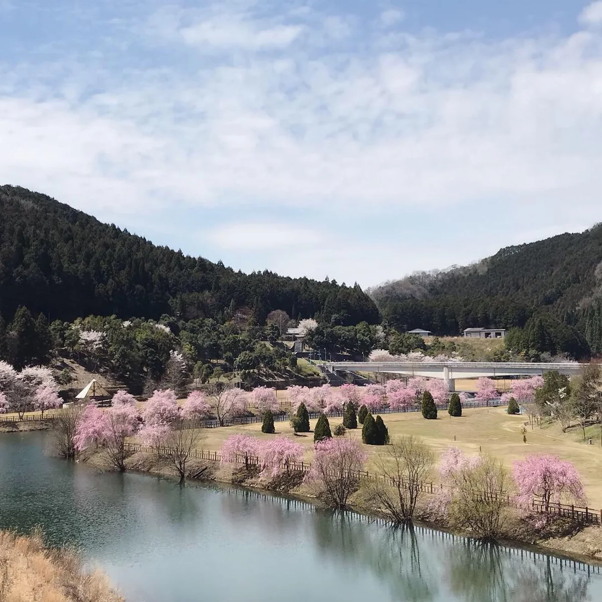 投稿写真：Japan Nara Udacity