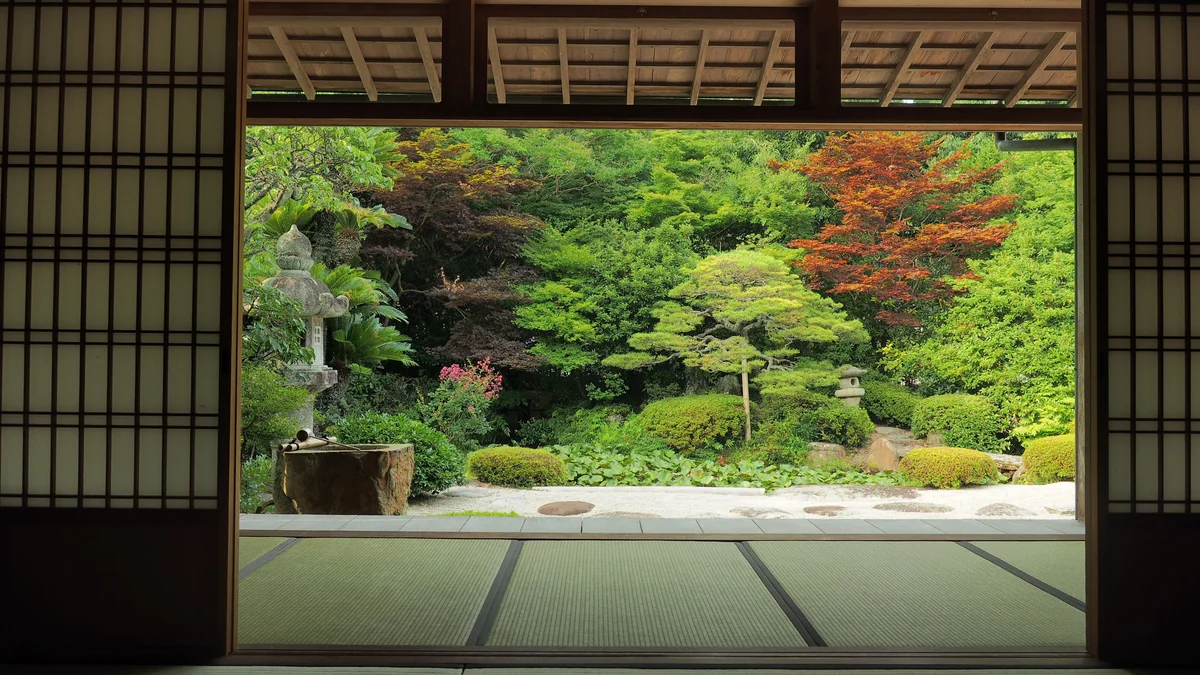 投稿写真：月照寺　夏の庭