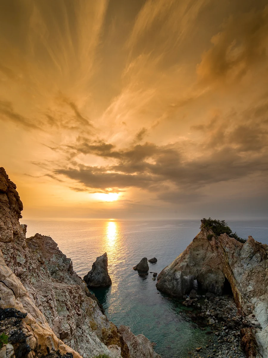 投稿写真：馬ロック