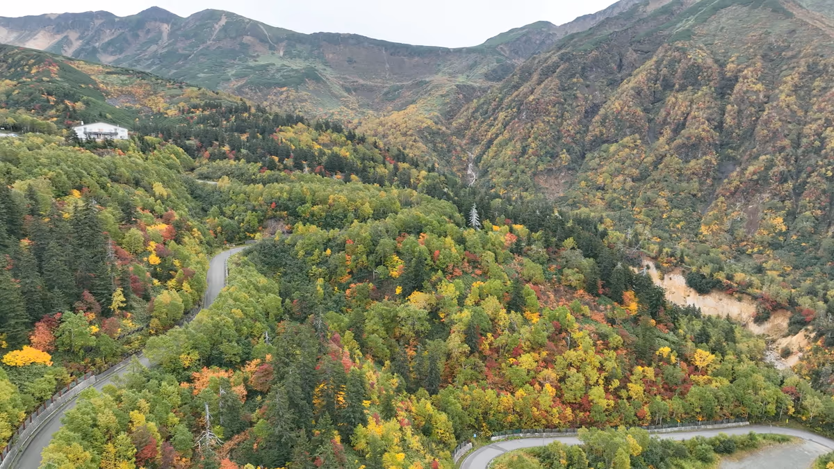 投稿写真：十勝岳温泉郷と紅葉