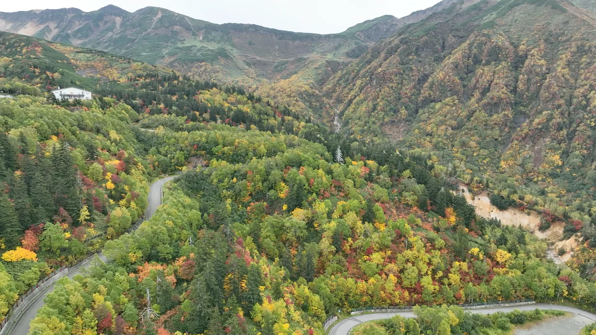 投稿写真：十勝岳温泉郷と紅葉