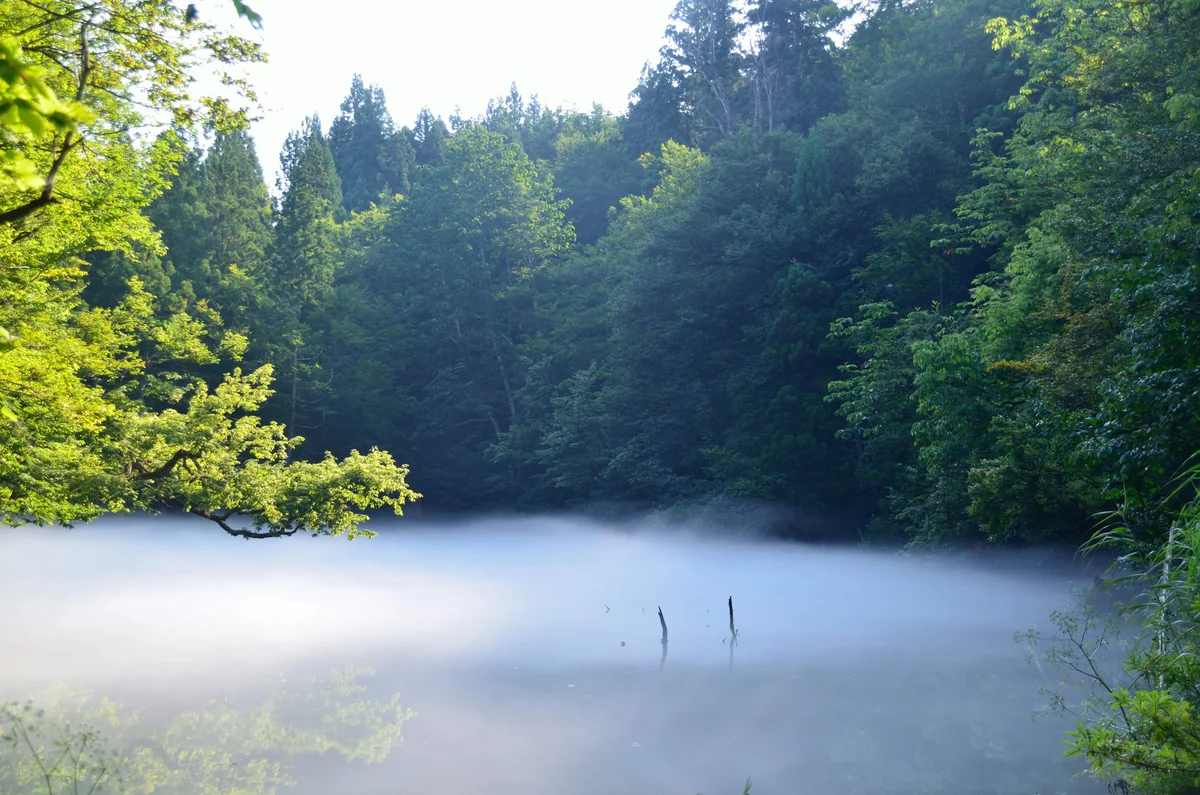 投稿写真：龍ヶ窪