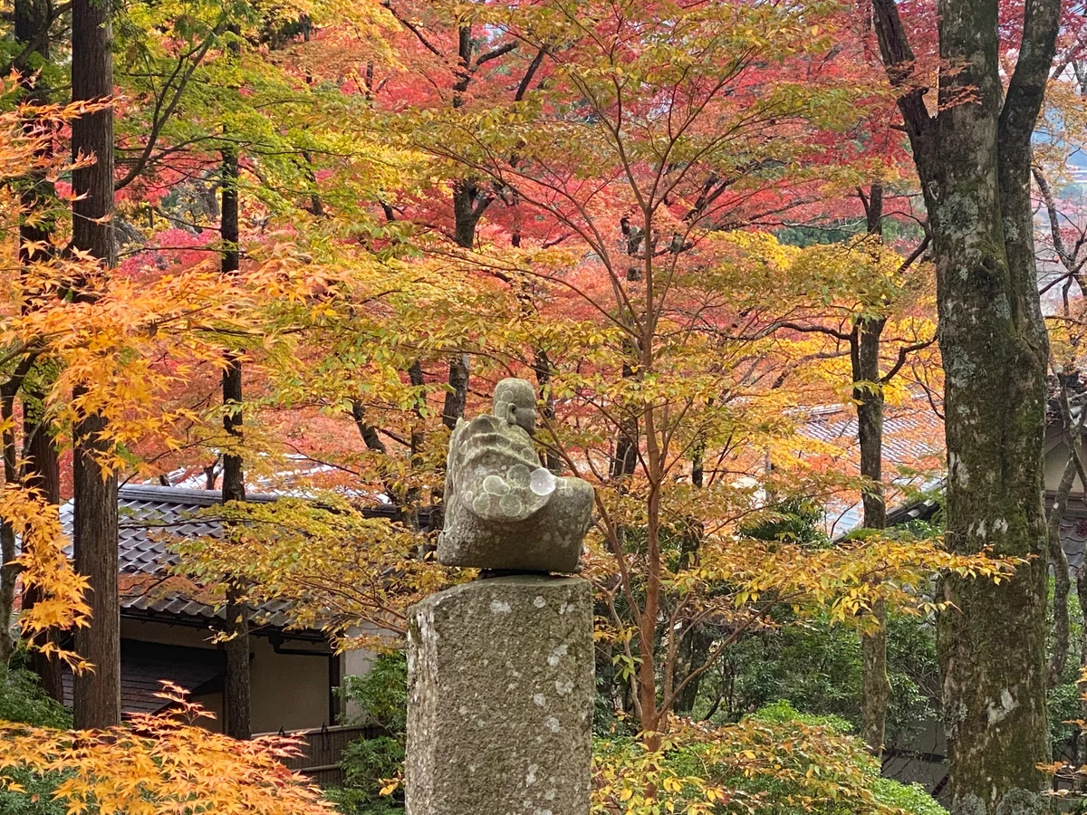 投稿写真：孤高の秋