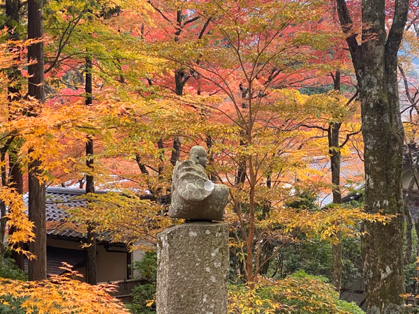 投稿：孤高の秋