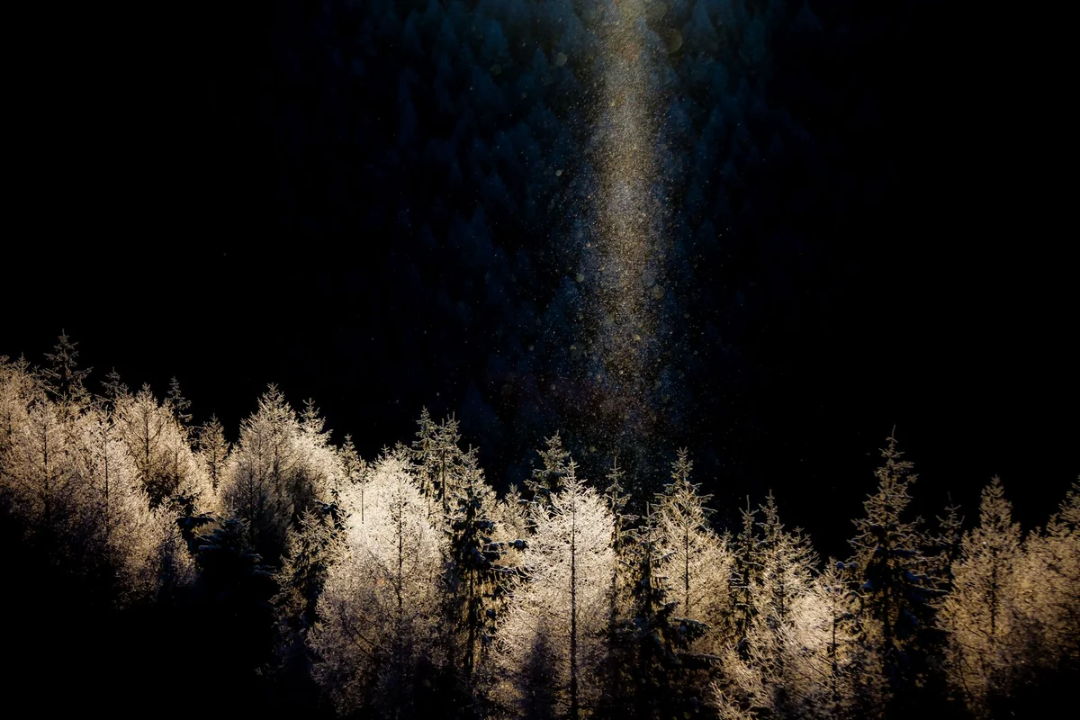 投稿写真：サンピラー