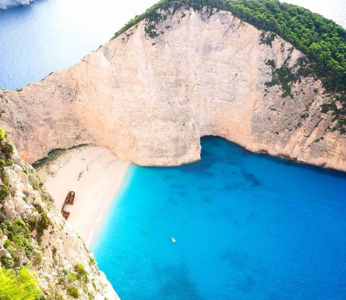 micoさんの投稿写真