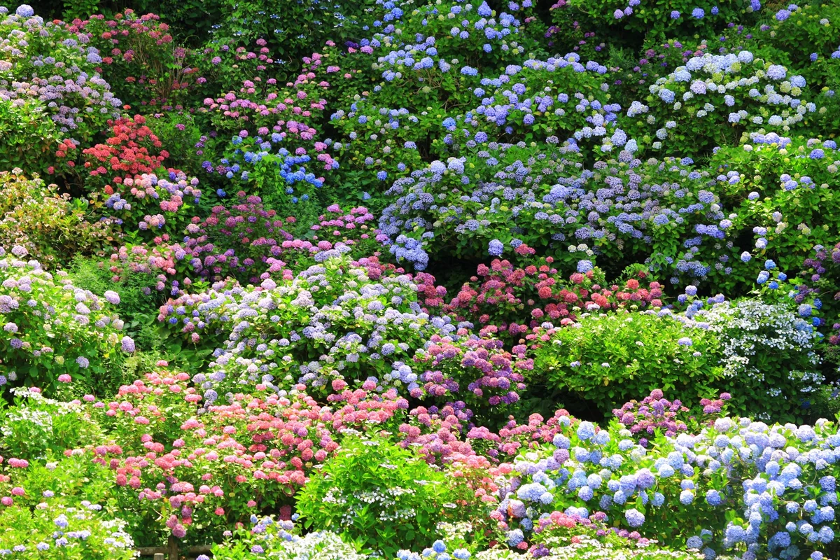 気ままなひとりトラベラーさんの投稿写真