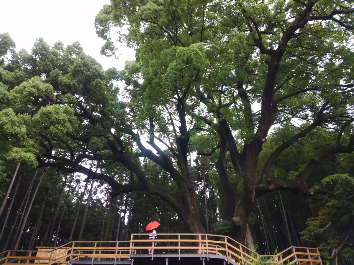 投稿写真：埼玉県越生