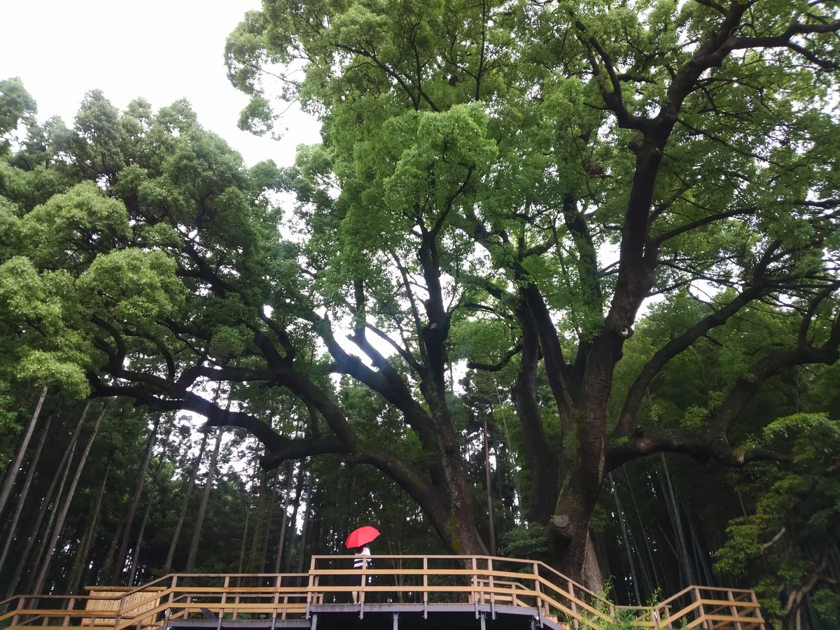 投稿写真：埼玉県越生