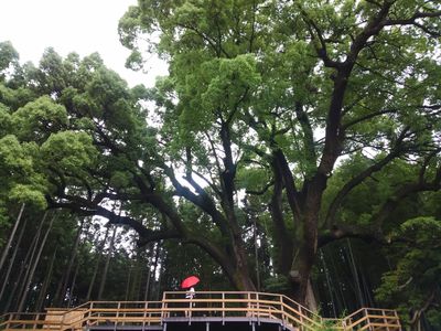  | 絶景事典