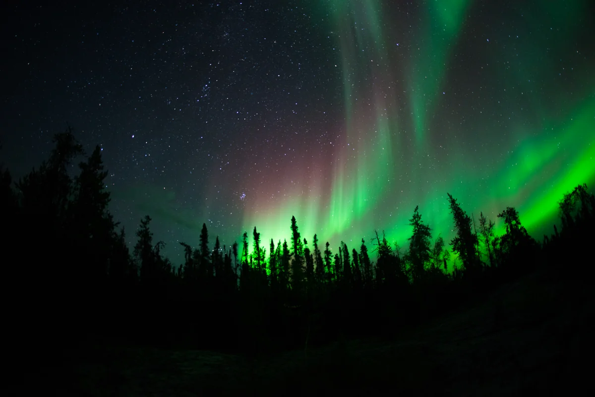 投稿写真：イエローナイフのオーロラ