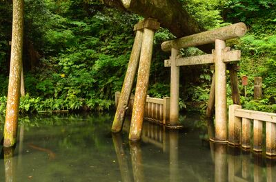  | 絶景事典