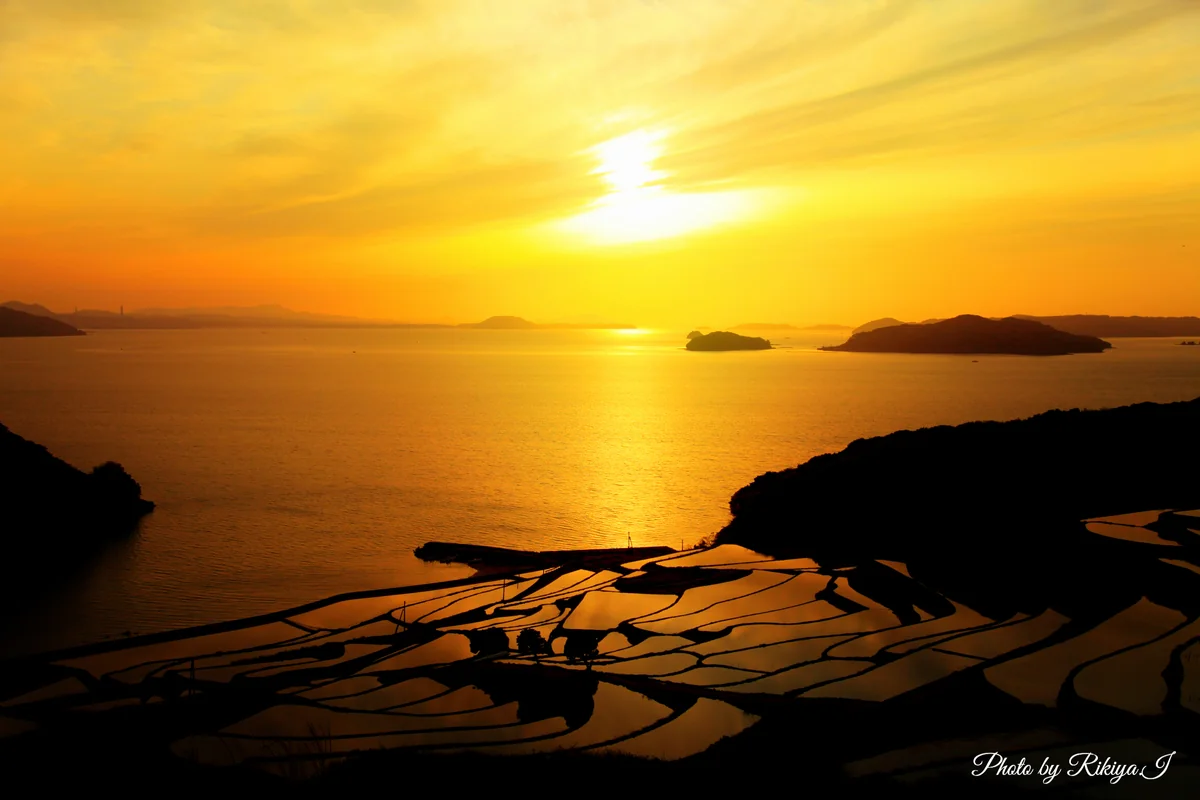 岩澤 力哉さんの投稿写真