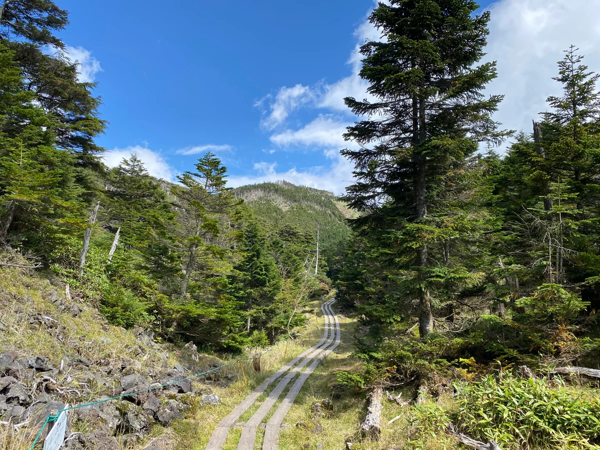 投稿写真：縞枯山への道