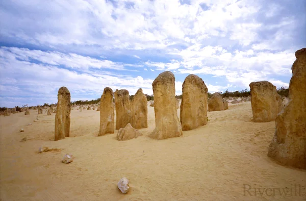 投稿：ピナクルズ