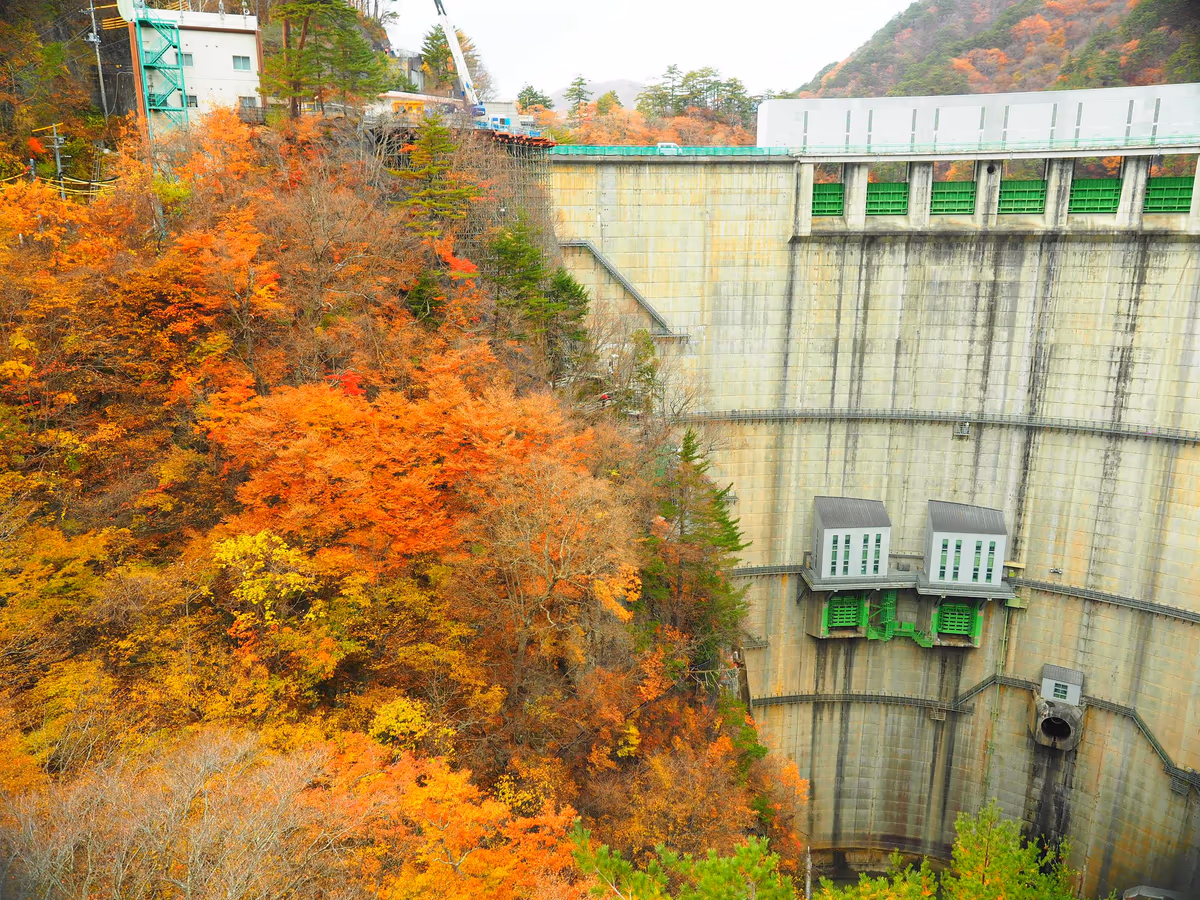 投稿写真：秋の川俣ダム