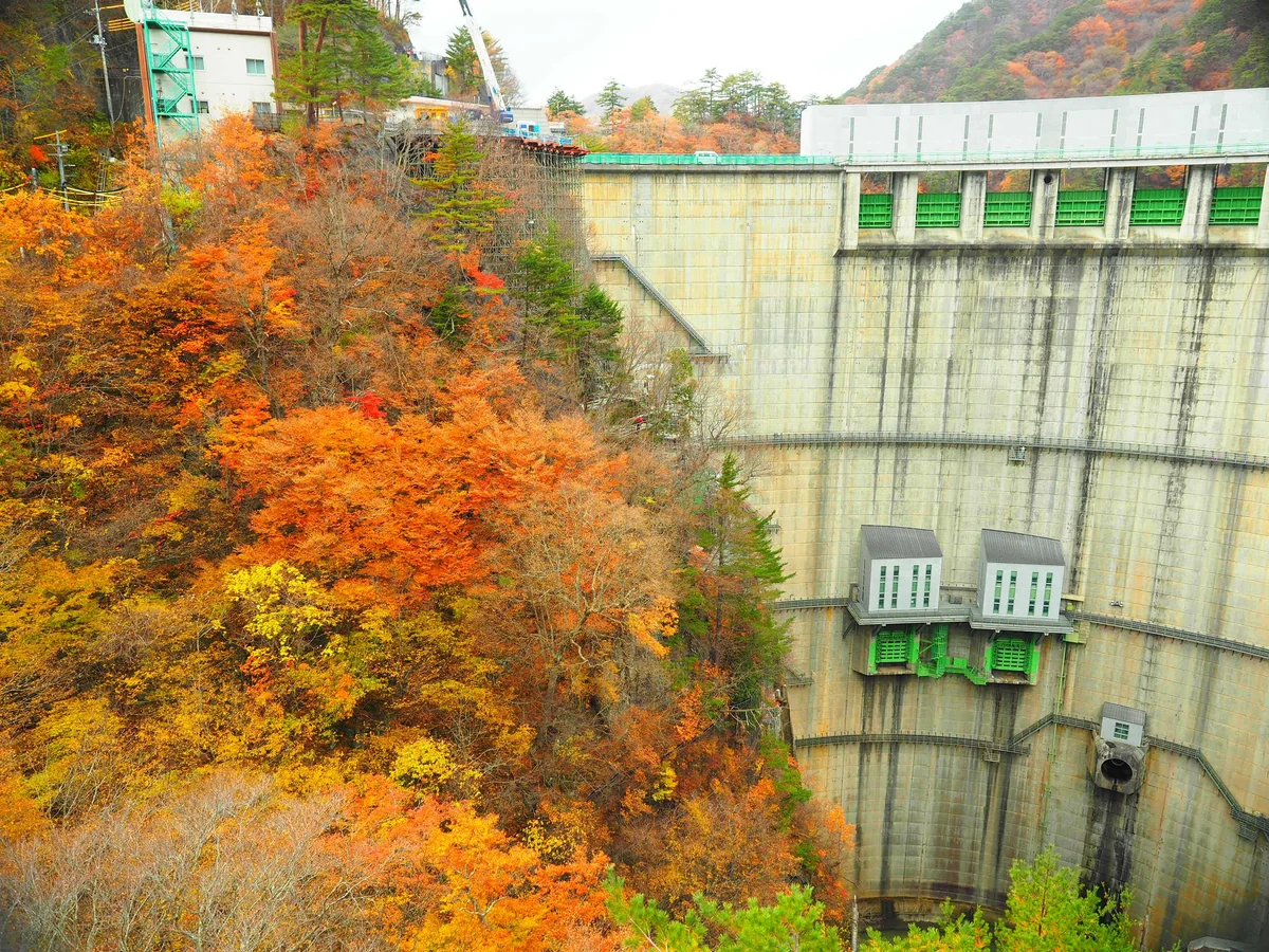 投稿写真：秋の川俣ダム