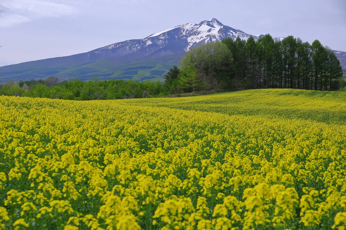溝口 崇さんの投稿写真