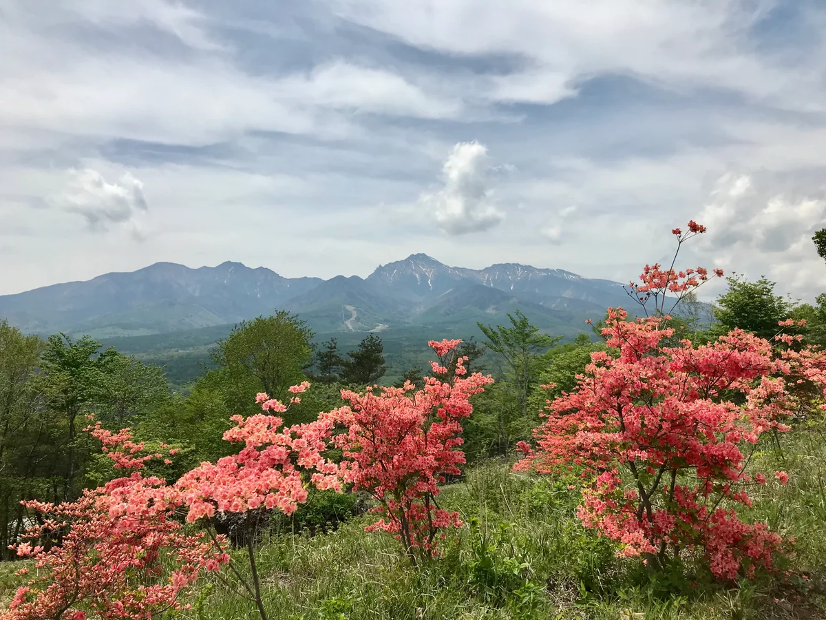 投稿写真：八ヶ岳