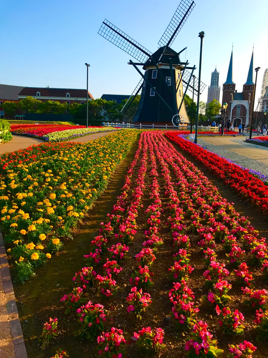 投稿写真：気分はオランダ