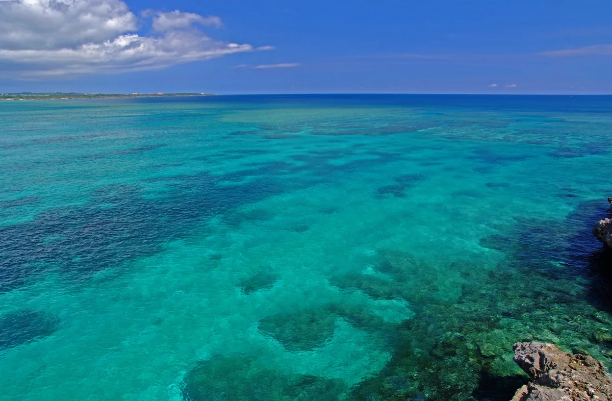 投稿写真：乙姫様のパレット