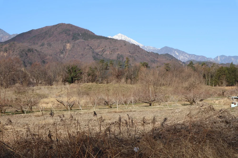 投稿写真：甲斐駒ヶ岳