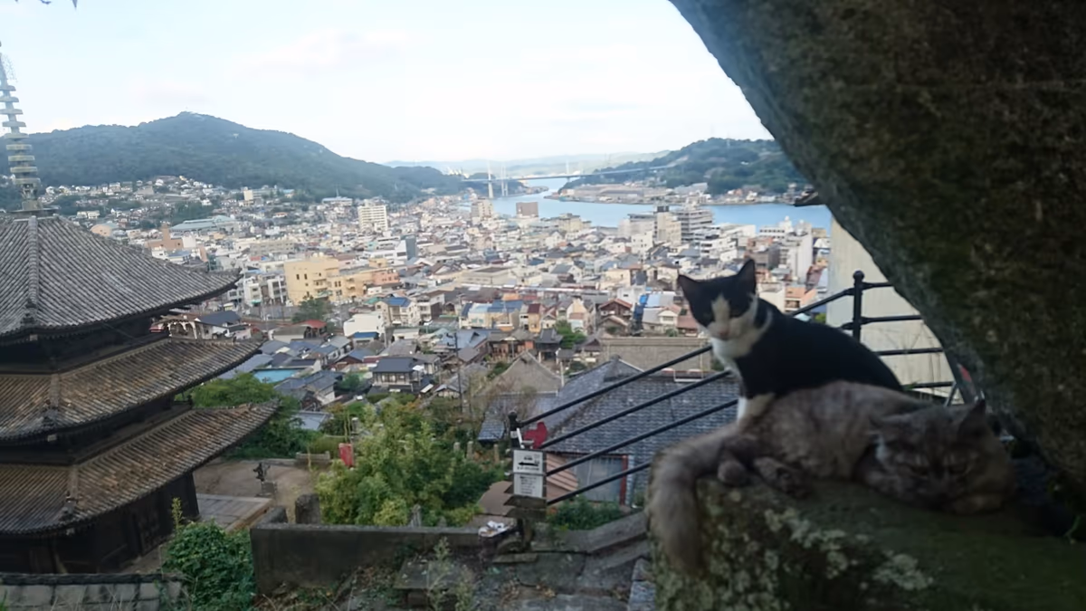 投稿写真：尾道の風景