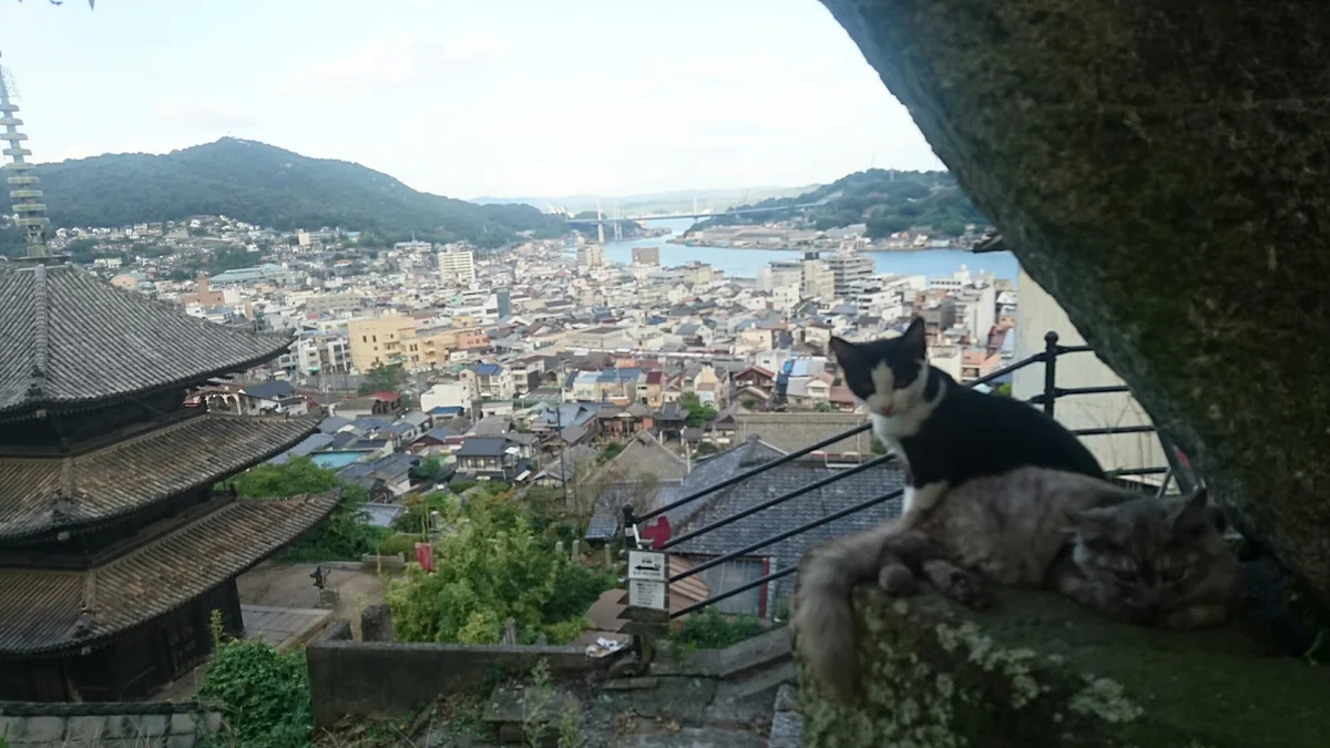 投稿写真：尾道の風景