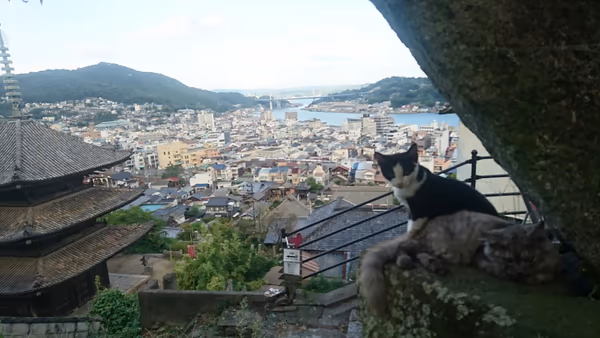 投稿：尾道の風景