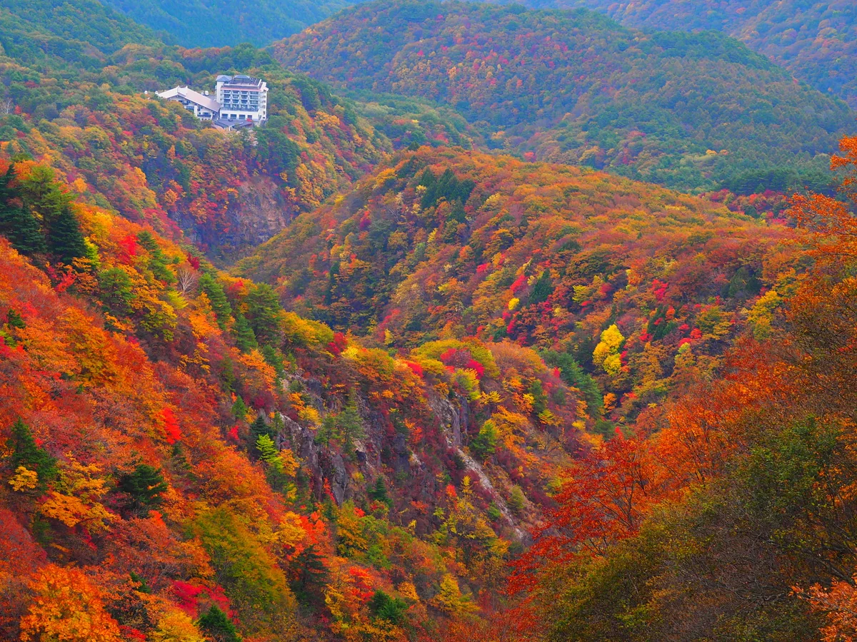 YYさんの投稿写真