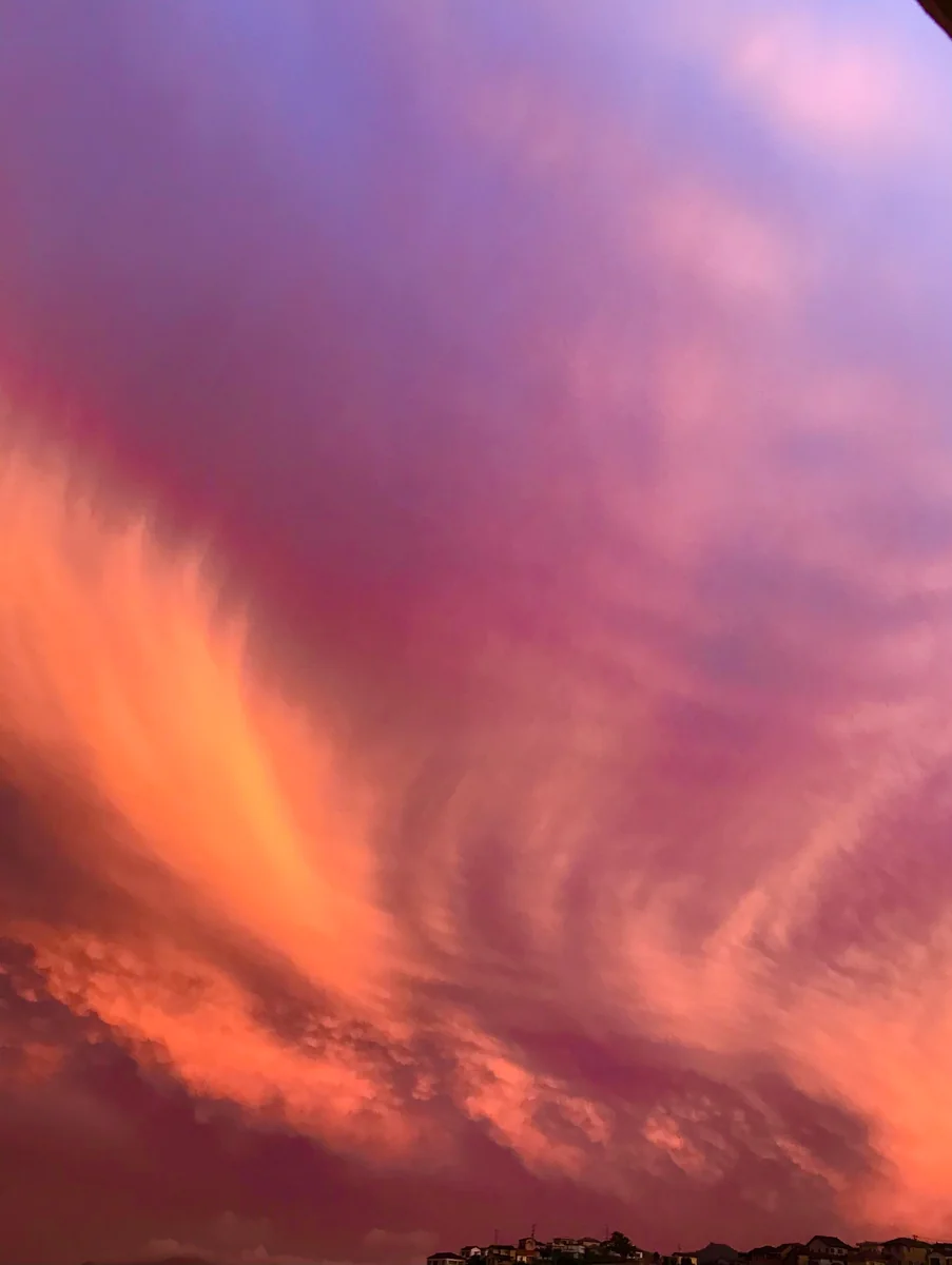 投稿写真：天使の羽