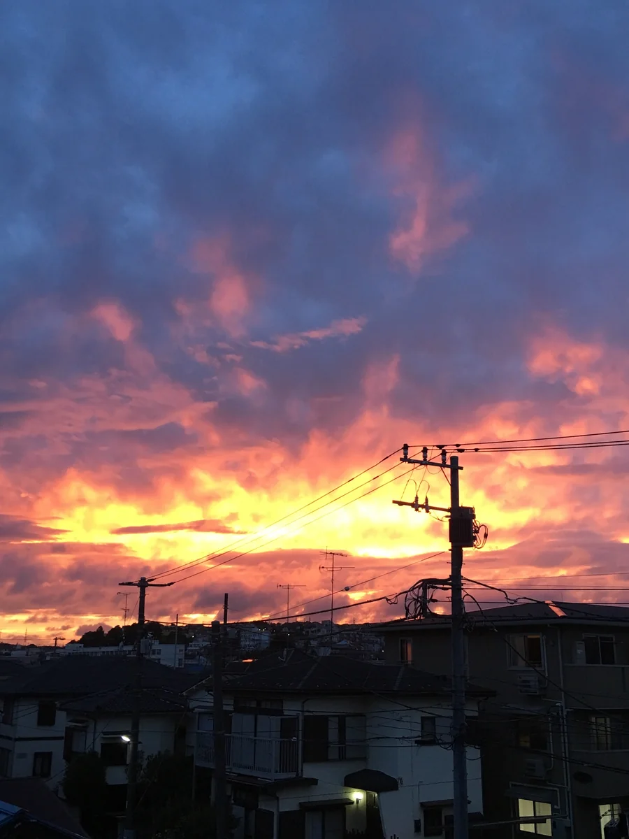 投稿写真：黄昏時