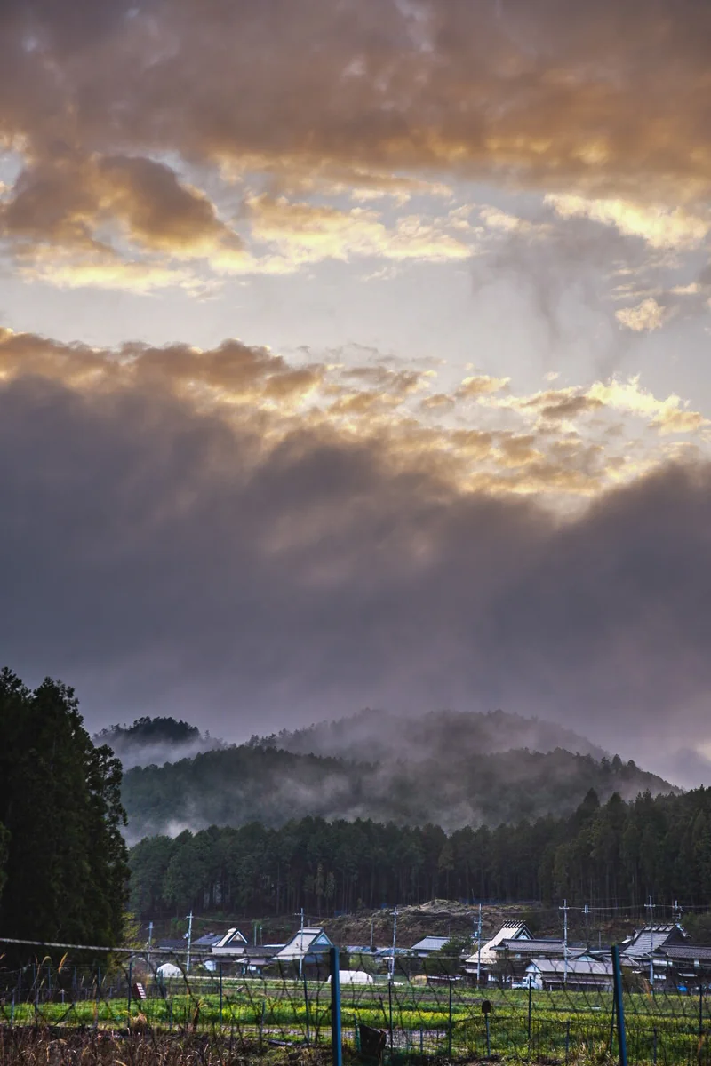 投稿写真：雨上がり