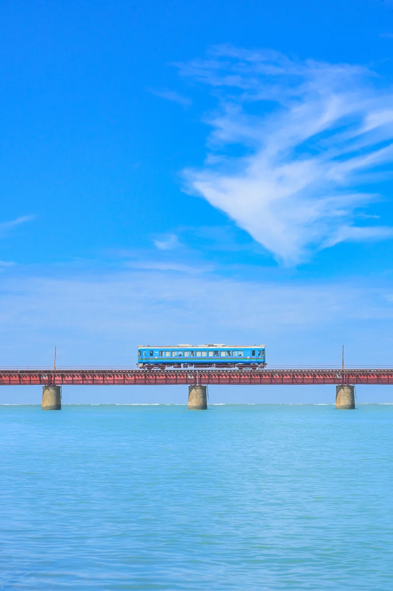 投稿写真：夏物語