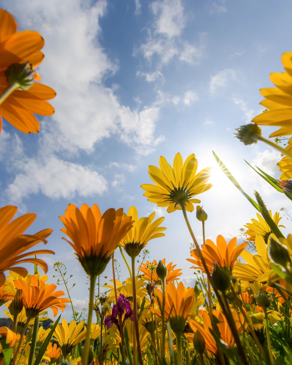 投稿写真：日光浴