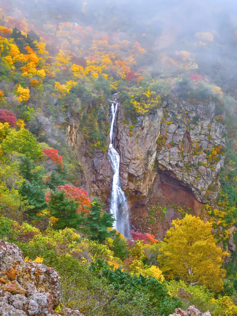 投稿写真：紅葉の不帰の滝