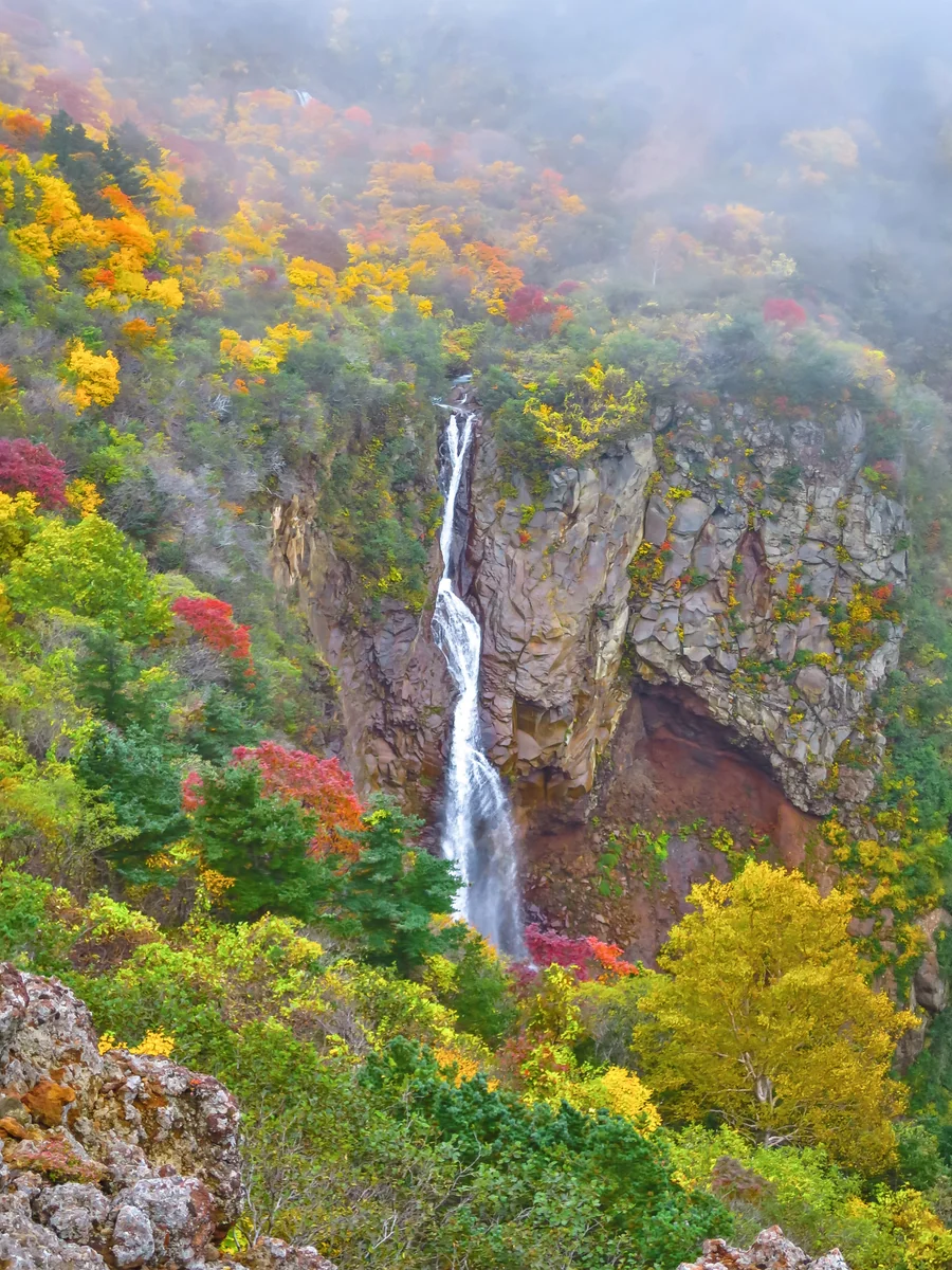 投稿写真：紅葉の不帰の滝
